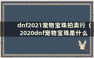 dnf2021宠物宝珠拍卖行（2020dnf宠物宝珠是什么 可以在拍卖行购买）